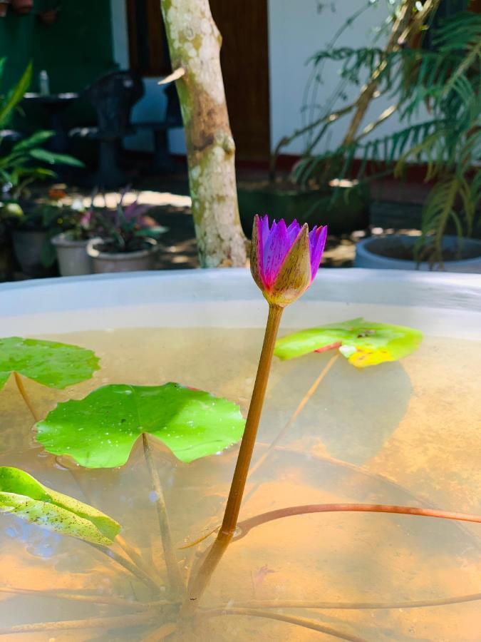 Vinu'S Place Matara Buitenkant foto